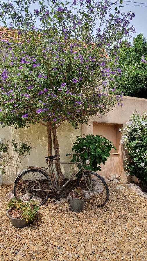 Gites "Tout Au Sud De La France" Pomerols Bagian luar foto