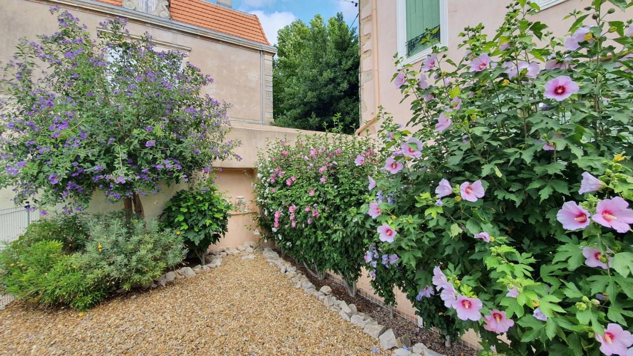 Gites "Tout Au Sud De La France" Pomerols Bagian luar foto